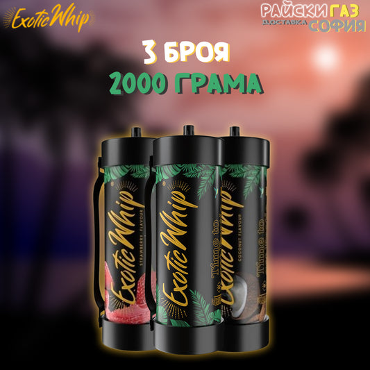 Райски Газ Exotic Whip 2000G - 3 броя